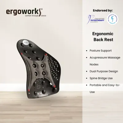 Ergoworks Ergonomic Posture Support | DR HOS - HO-PBR-01 - Perfect back Rest With Seat