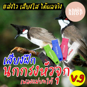 เสียงฝึกนกกรงหัวจุก เพลงแม่บทใต้ แฟลชไดร์ฟเสียงฝึกนกกรงหัวจุก เพลงแม่บทใต้ เมมเสียงฝึกนกกรงหัวจุก เพลงแม่บทใต้ มีเก็บเงินปลายทาง