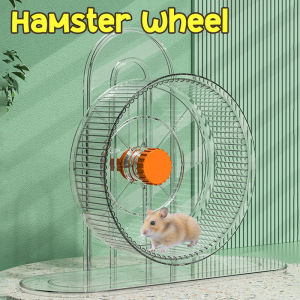 Hamster Wheel 21cm Silent Transparent Hamster Toy Adjustable Height Stand Hamster Sports Wheel