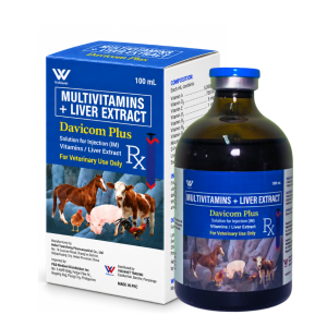 VIDDAVET Davicom Plus 100ml B-Complex with Liver Extract for Swine Poultry & Livestock Vitamin Supplement for Animal