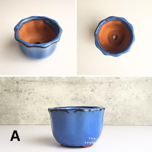 The Leaferie Bonsai Pot (Series 32) . Plant pot . Ceramic . Flowerpot . Succulent Planter. Flower pots