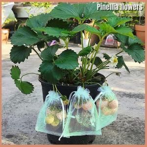 【Pinellia flowers】 20Pcs Mesh Fruit Bag Strawberry Grapes Fruit Grow Bags Breathable Netting Mesh Vegetable Plant Protection Bags For Garden Tools