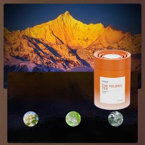 Light luxury car aromatherapy special diffuser