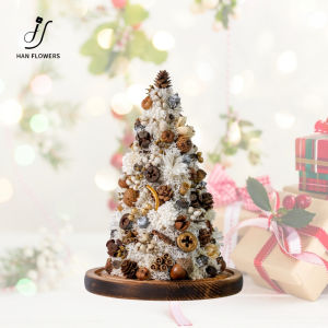 【Local Seller】Natural Christmas Tree Collection Table Decor Mini Preserved Christmas Tree Xmas Home Room Decor Gifts