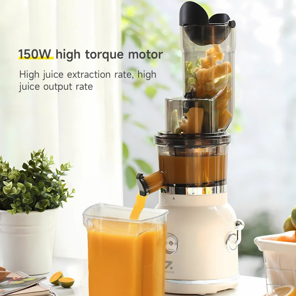 ZOLELE JM101 Vegetable and Fruit Juicer Multifunctional Blender