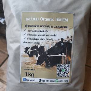 ขี้วัวนม ปุ๋ยหมักขี้วัวนม ปุ๋ยคอก ออแกนิค