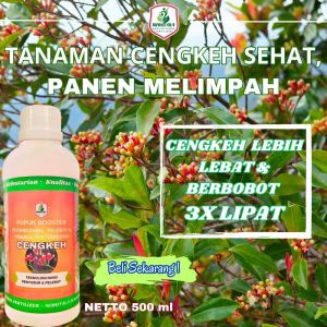 Pupuk Cengkeh Agar Berbuah Lebat Terbaik Pupuk Cengkeh Pelebat Buah Pupuk Penyubur Cengkeh