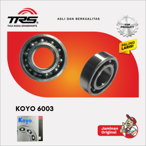 [TRS] LAKER BEARING KOYO 6003