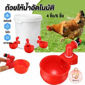 THUMBS UP ถ้วยให้น้ำอัตโนมัติ สำหรับไก่ 4 ชิ้น 6 ชิ้น Automatic drinker