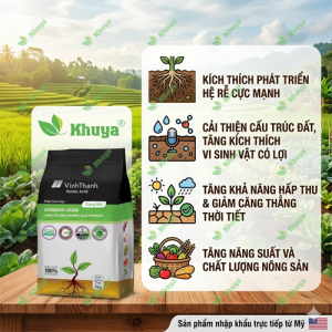 Phân bón sinh học Vĩnh Thạnh Diamond Grow Bột 1kg Humic Mỹ
