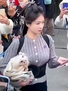 【Ship in 24H】【白鹿同款】驼背矫正器矫姿带女纠正脊椎柱侧弯坐姿直背运动护具 Hunchback Corrector Posture Corrector Belt Female Corrector Spine Column Side Curved Sitting Pos