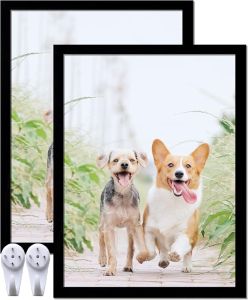 9x12 Picture Frame Set of 2 Black Photo Frames High Transparent Wall Gallery Desktop Horizontal Vertical for Canvas Collage Photo Poster Certificate 9 x 12 inches