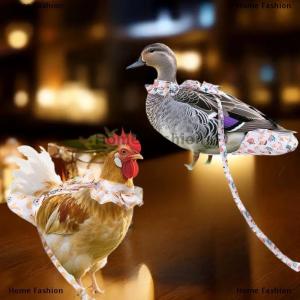 [COD] Home Fashion 1 2Pcs Cute Cartoon Fashion Chicken Duck Vest Diaper Hen Belt Pet Traction Rope Set Comfortable Leads Pet Poultry Supplies