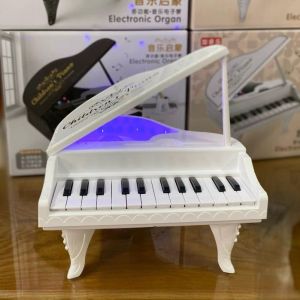Mini Keyboard Piano with Lights for Kids - Educational Toy Music Instrument for Children 3-8 Years