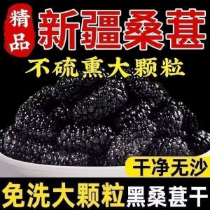 【SG Ready Stock】Dried Mulberry Fruit 250g Natural Black Mulberry Tea Healthy Snack No Added Sugar 桑葚干黑桑椹即食无沙 养生零食 无糖 纯天然