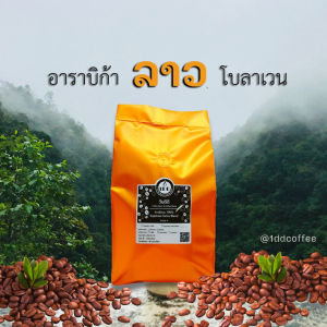 500g. เมล็ดกาแฟคัด กาแฟลาว Loas Arabica Bolavens Honey Process 1DD Coffee Bean