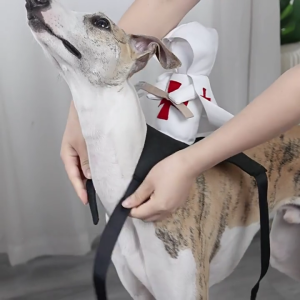 Funny 3D Knight Killers Costume for Dogs Pet Holiday Accessories Halloween Suitable for Cats and Dogs