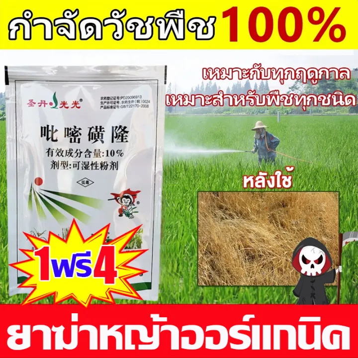 🌾ซื้อ1แถม4🌾 ยาฆ่าหญ้าในนาข้าว ไม่ทำร้ายข้าว 10g ยาฆ่าหญ้าในนา 100ปีไม่ ...