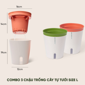 Chậu trồng cây tự tưới Monrovia phong cách Nhật Bản sang trọng trang trí trong nhà văn phòng Tiêu chuẩn Châu Âu