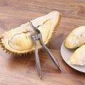 Durian peel stainless steel ที่แกะเปลือกทุเรียน ที่ปอกเปลือกทุเรียน 1 ชิ้น. 