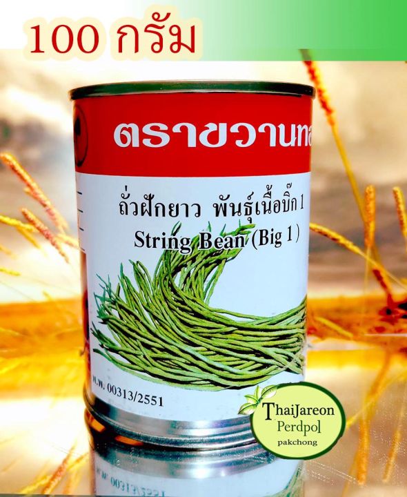 10 อันดับ เมล็ดพันธุ์ถั่วฝักยาว ยี่ห้อไหนดี สำหรับปลูกปี 2026