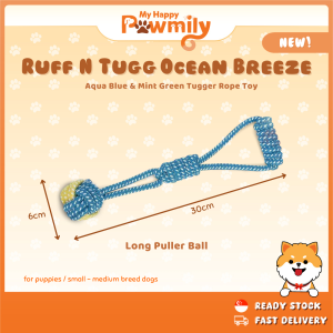 Ruff n Tugg Ocean Breeze – Aqua Blue & Mint Green Tugger Rope Toy for Small to Medium Breed Dogs