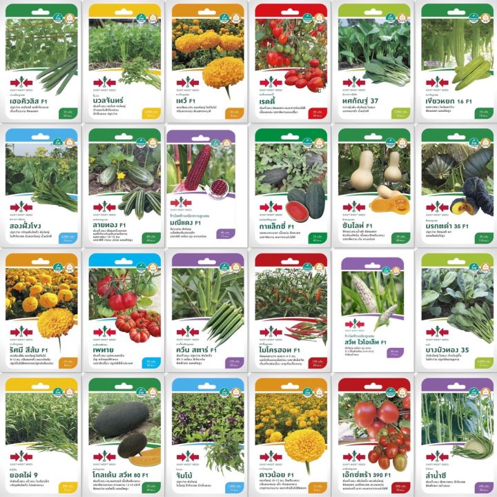 เมล็ดพันธุ์ผักรวมกว่า 90 ชนิด ตราศรแดง