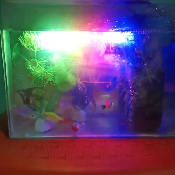 Buyer review video 3