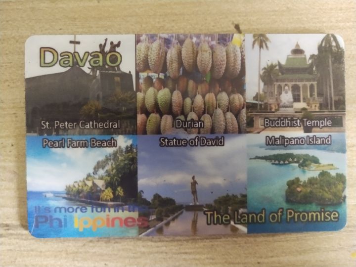 Davao Ref Rubber Souvenir Lazada PH