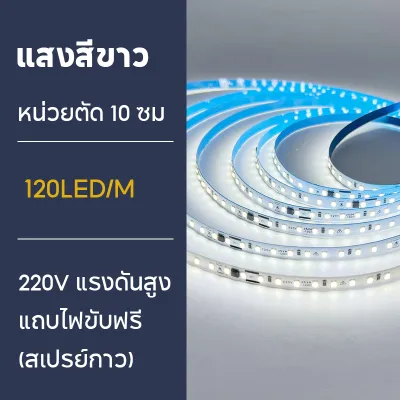 2835 ไฟ LED แถบแสงเปลือย 220v แถบไฟแรงดันสูง ไม่จำเป็นต้องใช้หม้อแปลง แถบไฟตกแต่งบ้าน 5m/10m ติดตั้งง่ายด้วยกาวด้านหลัง