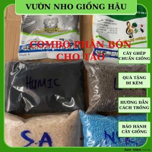 COMBO phân bón cho Táo đầy đủ hổ trợ tăng bông đậu trái