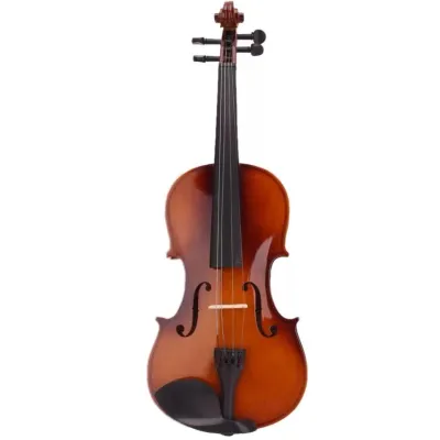 Biola Akustik Beginner 4/4 Dengan Tas