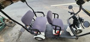 E-Trike Seat Cover & Back Cover Water Repellent Anti Scratch Pusa