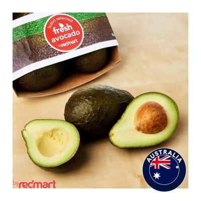 RedMart Hass Avocado 3pcs, Australia