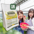 Pupuk Booster Stoberi / Obat Booster Buah Strawberry / Pupuk Booster Strawberry / Pupuk Strawberry. 