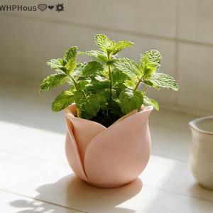 WP💓💛💖 Creative Rose Shaped Mini  Pot Decorative Plant Container for Modern Home Office Table
