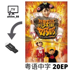 USB Classic Drama Cantonese 4 in 1 家庭剧 肥婆奶奶扭计媳+西关大少 + 我的野蛮奶奶+大战戈师奶 经典港剧 粤语中字