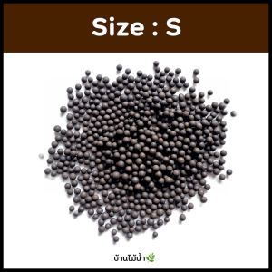 ดินเผาญี่ปุ่น ดินเผา ดินปลูกไม้น้ำ ดินไม้น้ำ ตกเเต่งตู้ปลา ตู้ไม้น้ำ ตู้กุ้ง โรยกระถาง จัดสวนขวด น้ำจืด | บ้านไม้น้ำ🌿