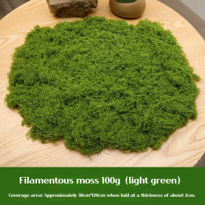 200G DIY Artificial Simulation Moss Lawn Micro Landscape Decoration Green Plant Bonsai Accessory Rock Garden & Fake Scene Decor