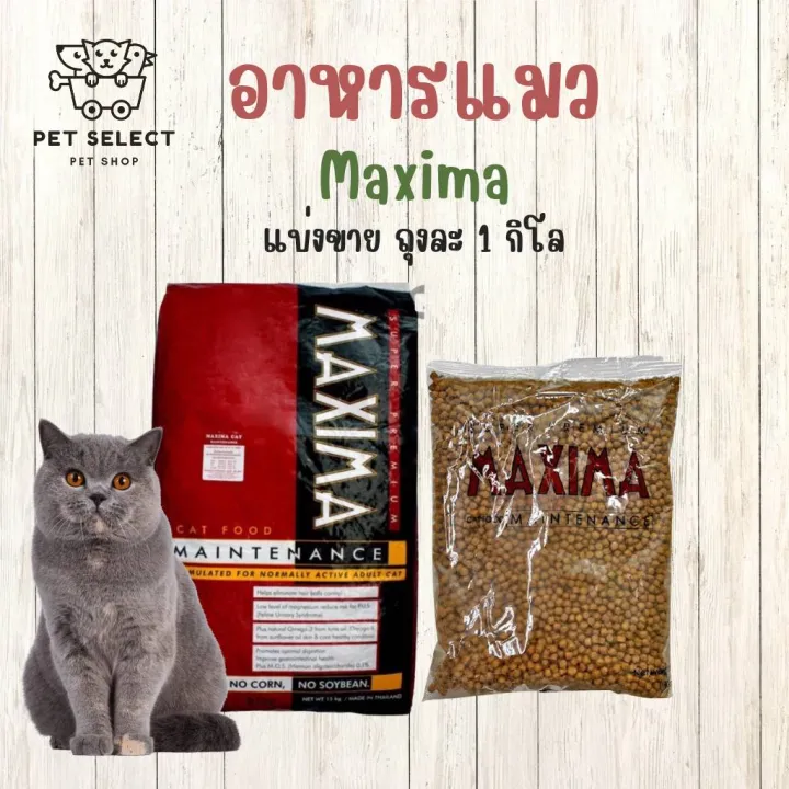 อาหารแมว Maxima สำหรับแมวทุกสายพันธุ์