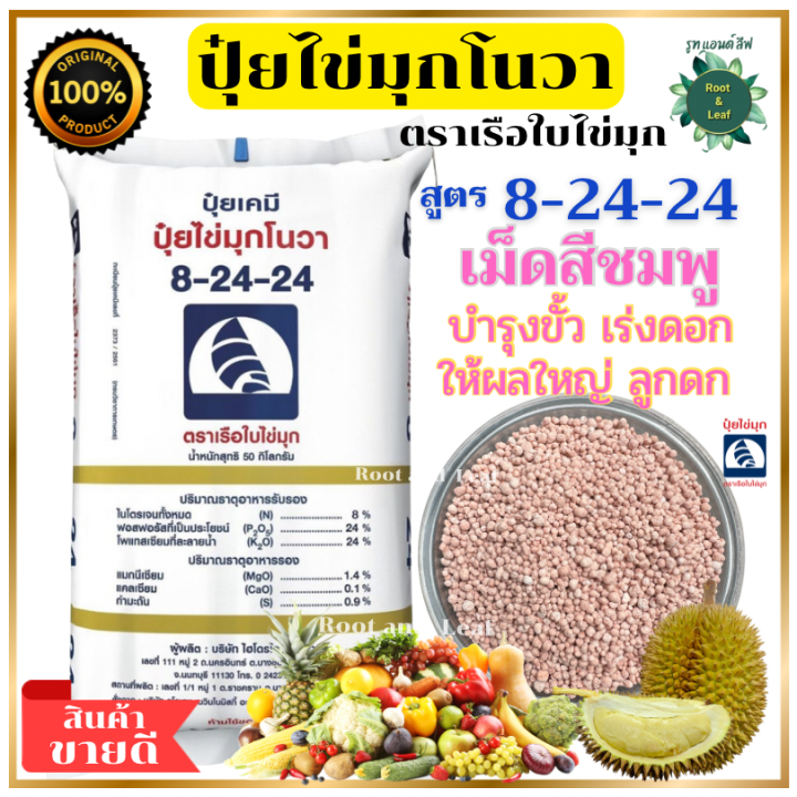 ปุ๋ยไข่มุกโนวา 8-24-24 ตราเรือใบไข่มุก ขั้วเหนียว ผลใหญ่