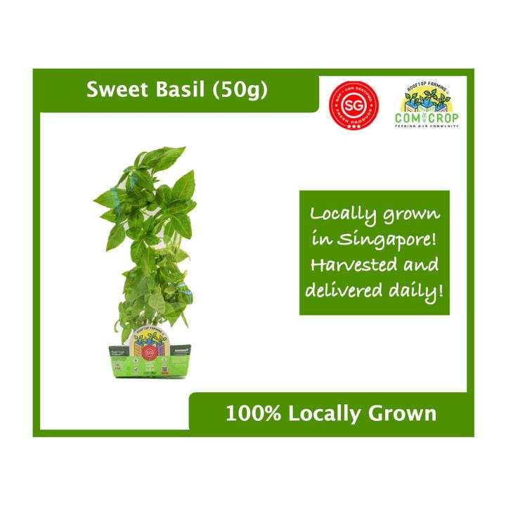 Comcrop Fresh Sweet Basil Lazada Singapore