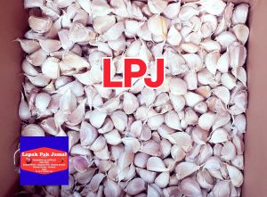 Bawang PUTIH KATING - 500 Gram - LPJ