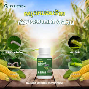 เวิร์ม เอสวี ขนาด 100ml สารสกัดกำจัดหนอนออร์แกนิค เห็นผลไวภายใน24ชม. กำจัดหนอนใยผัก หนอนกระทู้ผัก หนอนแก้ว หนอนคืบกระหล่ำ