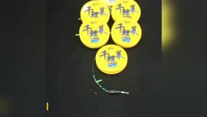 Qianlilai speckled line pre-tied products are purely hand-tied for competitive platform fishing fishing main line set fishing gear