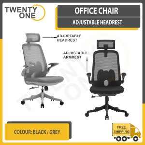 GAVIN OFFICE CHAIR WITH ADJUSTABLE HEADREST(MESH BACK AND FABRIC MOLDED FOAM SEAT WITH 1 CLASS LOCKING MECHANISM)