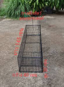 กรงดักตัวเงินตัวทอง ดักแมว ดักงู และสัตว์เลื้อยคลานอื่นๆอีกหลายชนิด ตัวเล็กตัวใหญ่ก็เข้าได้ติดแล้วล็อก  ยาว145 กว้าง40 สูง30 ใช้งานง่ายโครงสร้างแข็งแรงใช้งานได้ผลดี