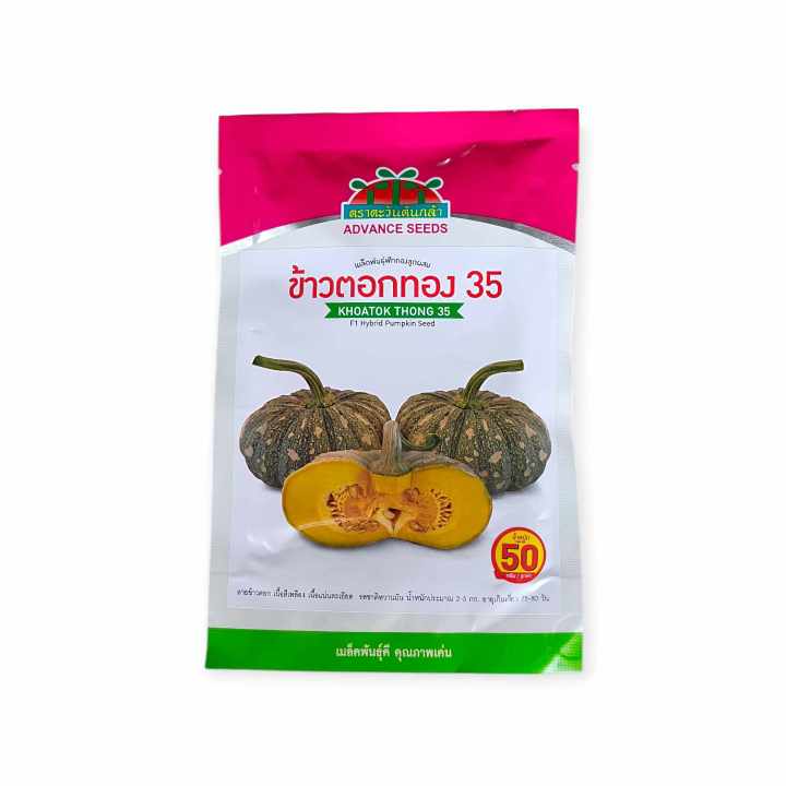 เมล็ดฟักทอง ข้าวตอกทอง ตราตะวันต้นกล้า ผลผลิตสูง