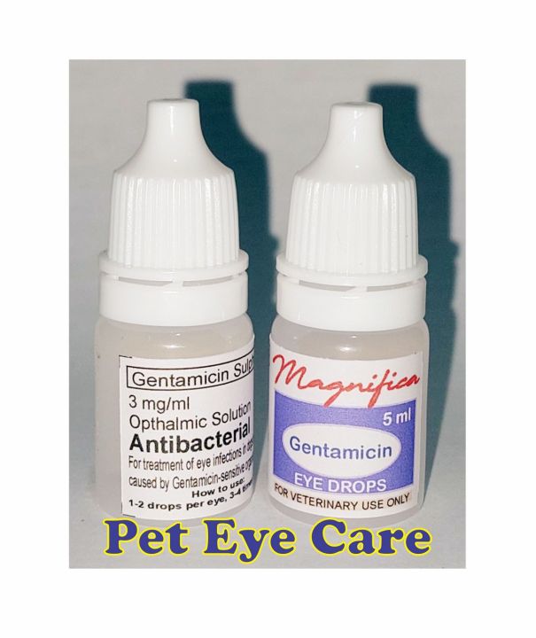 Magnifica Gentamicin Eye Drops for Dogs & Cats 5ml Lazada PH