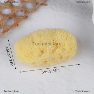[COD] Technicolore เครื่องมือทำความสะอาดพื้นผิวแบบพิเศษภาพวาดด้วยฟองน้ำสีกรีกแบบธรรมชาติพร้อมฟองน้ำดูดซับที่เช็ดปากกา